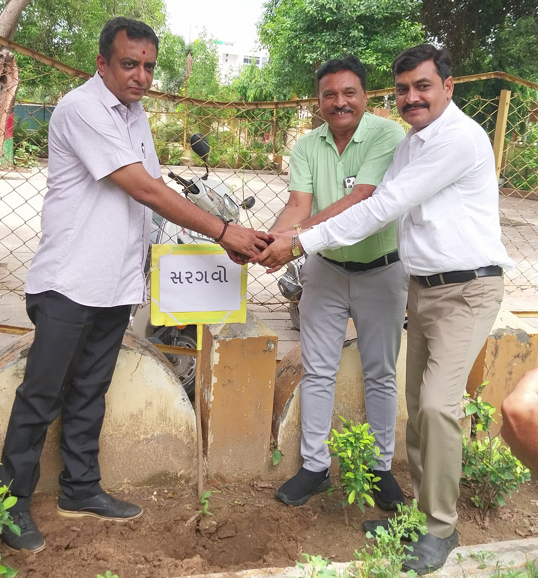 વૃક્ષારોપણ